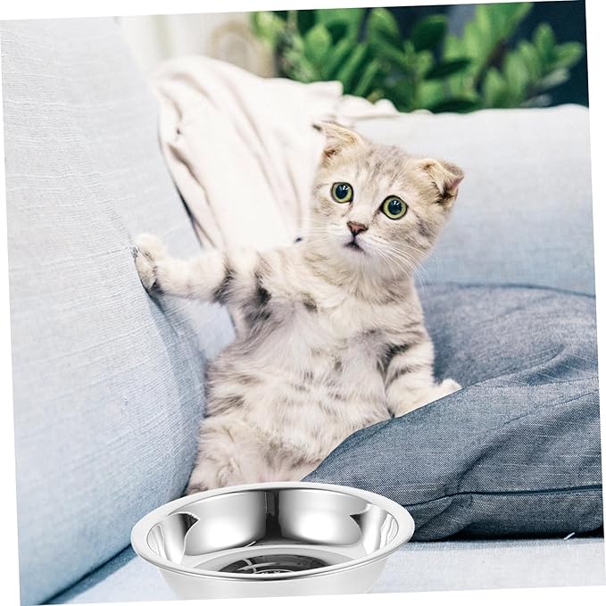 Stainless Steel Pet Bowl Set 5pcs 304 Food-Grade Raised Round Cat Bowls Sturdy Puppy Feeder for Indoor Feeding and Watering Supplies