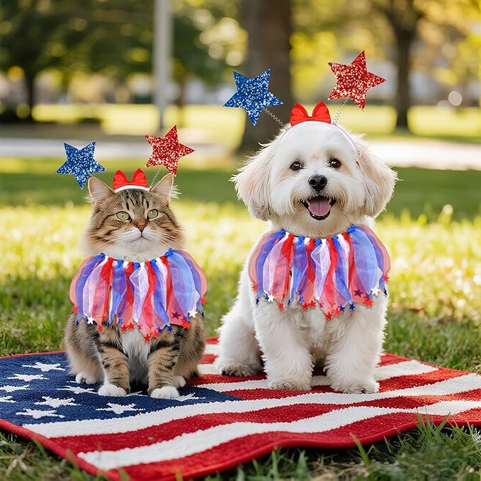 4th of July Dog Outfit, 2 Pcs Patriotic Red White Blue Dog Accessories, Fourth of July Pet Bow Headband and Star Tulle Collar Neck Ruff Set for Small Medium Dogs Cats