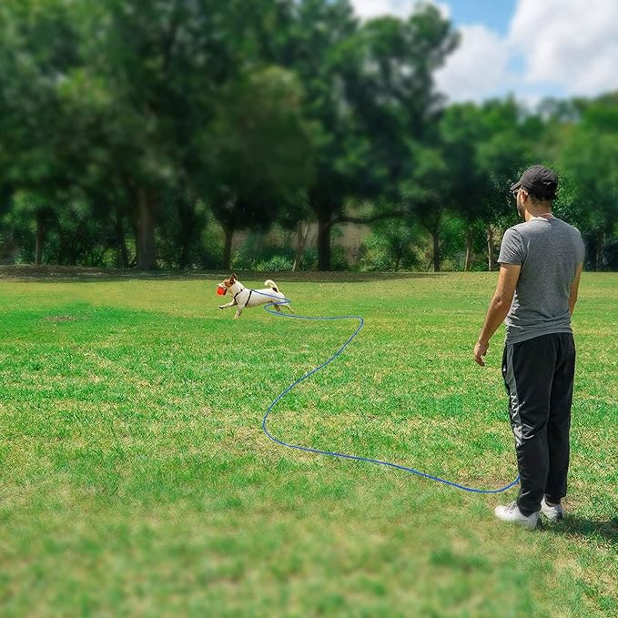 Rypet Reflective Cat Long Leash - 30 FT Escape Proof Walking Leads Yard Long Leash Durable Safe Personalized Extender Lead Traning Play Outdoor for Kitten, Puppy, Rabbit and Small Animals