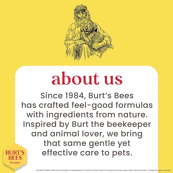 Burt's Bees for Pets Tearless Kitten Shampoo with Buttermilk and Honey, 99% Natural Origin Gentle Cat Shampoo for Sensitive and Itchy Skin, pH Balanced and Fragrance-Free, 10 Fl Oz - 6 Pack