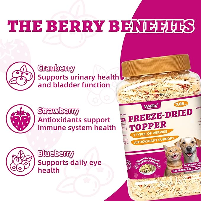 Wellix Freeze Dried Cat & Dog Treats - High Protein Cat Food Toppers with 3 Berries Added (Blueberry/Strawberry/Cranberry for Dogs) - Cat Treats for Indoor Cats 7.05oz