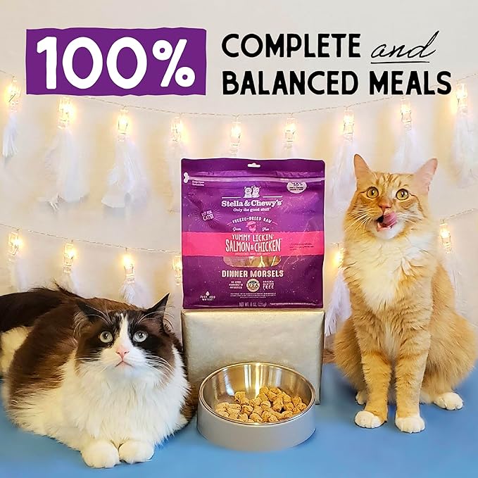 Stella & Chewy's Freeze-Dried Raw Cat Dinner Morsels - Premium Salmon & Chicken Recipe with 98% Wild-Caught & Cage-Free Protein - Natural Grain-Free Cat & Kitten Food - Made in USA - 1 oz (Pack of 6)