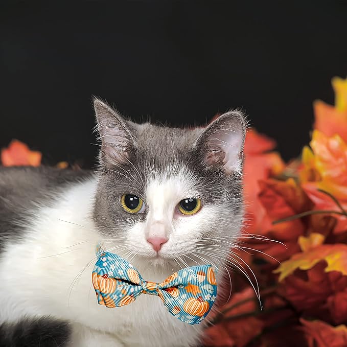 Thanksgiving Cat Collar Set with Bell, Autumn Pumpkin Thanksgiving Harvest Holiday Cat Collar for Boys and Girls Kitty Kittens