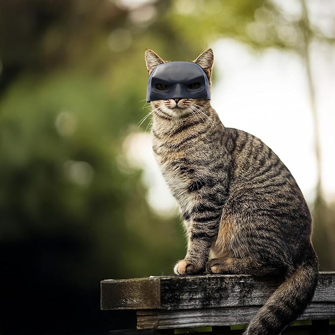 Black Batcat Mask, Extra Thick Durable, Bat Style Cat Mask, Pet Costume Accessory, Fun and Adorable Superhero Cosplay Mask for Cats, Black CatBat Cosplay Christmas Mask Hat, Cat Apparel (Medium)