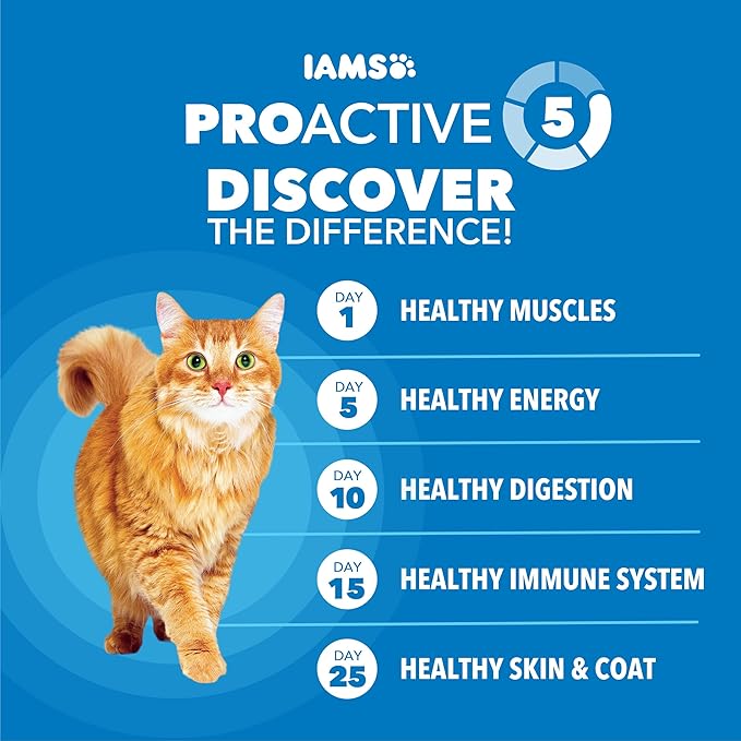 IAMS Proactive Health Healthy Weight Adult Dry Cat Food Chicken Flavor, Adult Cat Food Dry Recipe, 22 lb. Bag