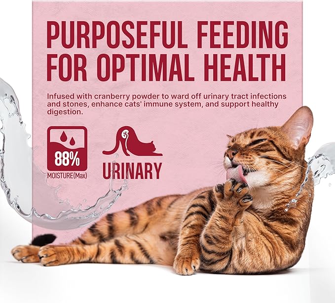 PETPHABET Lickable Cat Treats Spoon, 36 Count Creamy Puree Kitten Treats Chicken Slamon & Cranberry Recipe, Functional Wet Paste Cat Snacks for Urinary Health, Grain-Free Kitty Treat with Taurine