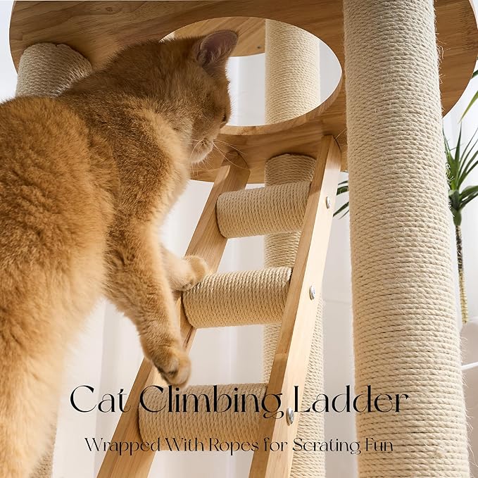 797Audio Morden Solid Wood Cat Tree Tower, 49" Tall Cat Tree with Sisal Scratching Posts and Ladder for Adult Cats, Natural Oak Wooden Cat Tower, Aesthetic Multi-Level Cat Climbing Tree for Indoor Cat