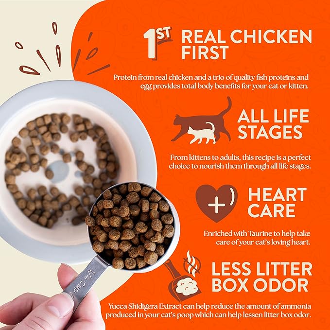 Earthborn Holistic Primitive Feline Grain-Free Dry Cat Food, High Protein Chicken Recipe, Indoor All Life Stages Formula, 12.5 lb Bag