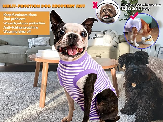 Dog Recovery Suit Small,Female Spay Male Surgery Recovery Shirt,Soft Combed Cotton Puppy Suit,S Purple-White Striped