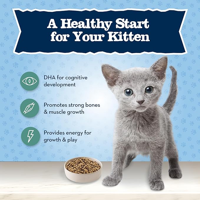 Blue Buffalo Baby Blue Natural Kitten Grain-Free Dry Cat Food, High-Protein Healthy Growth Formula with DHA, Savory Chicken, 2-lb Bag