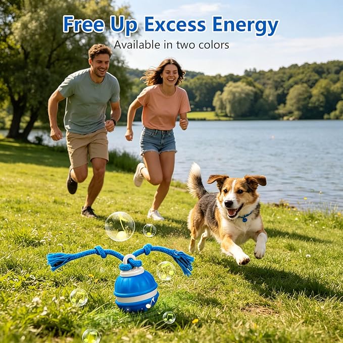 Interactive Dog Ball, 360° Self-Moving Dog Toy with LED Lights & Squeaker, Automatic Fetch Toy for Boredom & Training, USB-C Rechargeable Smart Pet Toy for Small Medium Dogs & Cats