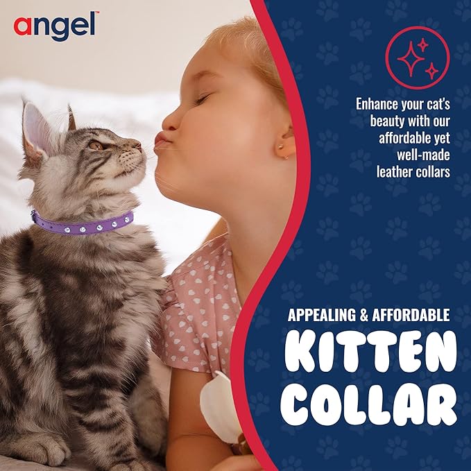 Studded Cat Collar, Genuine Leather Kitten Collar, Sturdy Breakaway Cat Collar with Bell and Elastic Stretch,Cat Accessories, Orchid Purple, 12 x 1/2 inches - Angel Pet Supplies