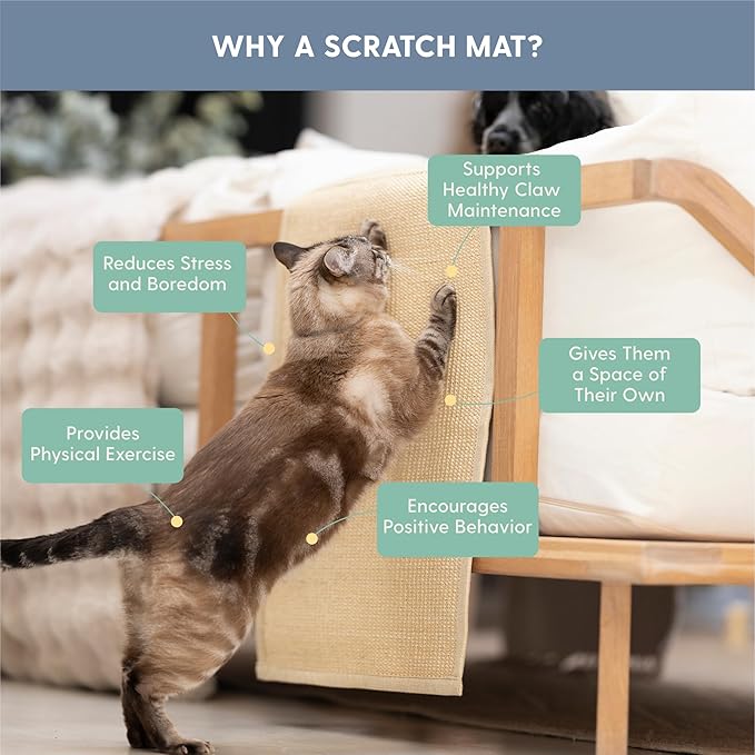 The Cat Ladies Cat Scratch Furniture Protector Mat - Couch Protector from Claws - Anti Scratch Furniture Protectors from Cats Scratching - Sisal Scratcher Pad with Pocket - Beige