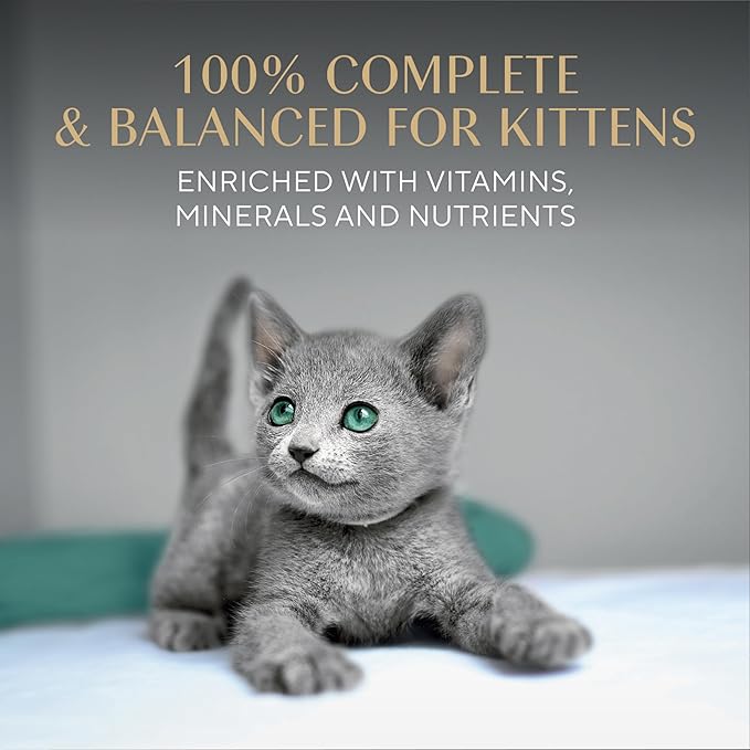 Sheba Perfect Portions Kitten Wet Food, Pate Cat Food Wet Entree, Chicken Recipe and Salmon Recipe, 2.6 oz. Twin-Pack Trays (12 Count, 24 Servings) (Pack of 2)