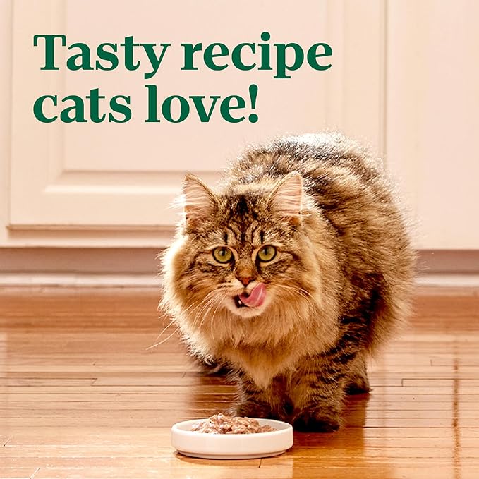 Nutro Perfect Portions Wet Cat Food Cuts in Gravy Salmon Recipe, Cat Food Wet Recipe, 2.64 oz. Twin-Pack Trays (24 Count)