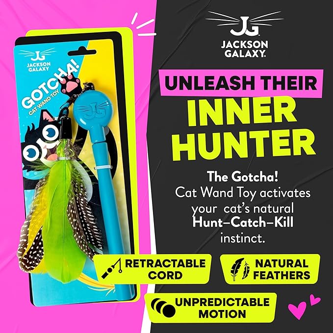 Jackson Galaxy Gotcha! Cat Wand Toy - Retractable Cat Toy for Engaging Play - Telescoping Wand with Natural Feathers for Indoor Cats - Foundational Tool for Cat Wellness and Interactive Bonding Play