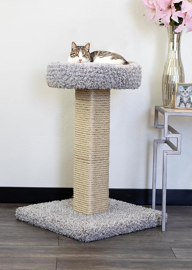 New Cat Condos Solid Wood Cat Scratcher with Cat Bed