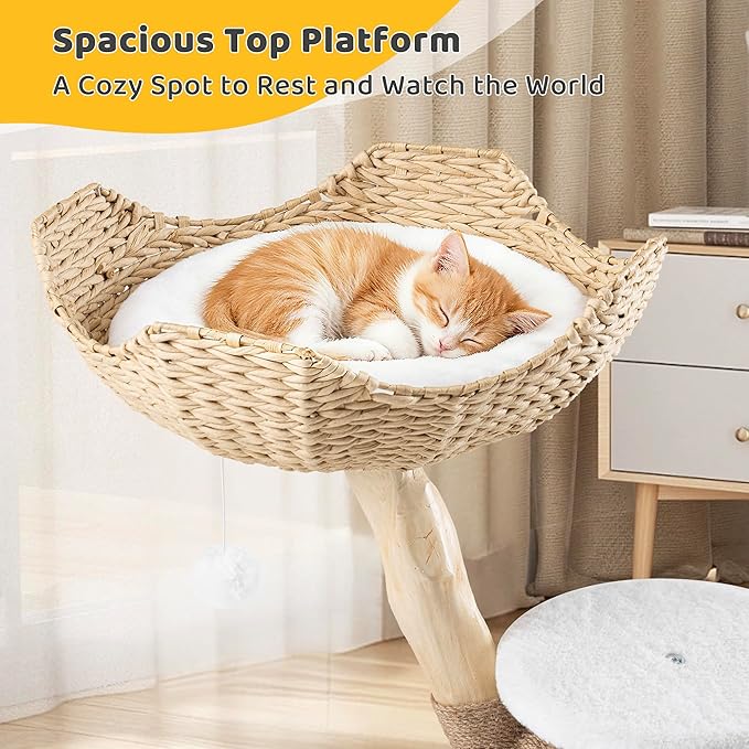 AQUILLA 42.5" Multi-Level Cat Tree Tower – Cozy Cat Condo, Woven Seagrass Basket, Sisal Scratching Posts, Indoor Playground for Cats, White