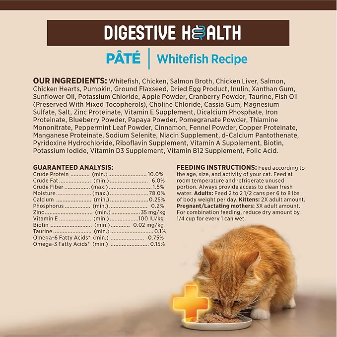 Wellness CORE+ Digestive Health Pate Adult Canned Wet Cat Food, Natural, Protein Rich, Grain Free, Whitefish Recipe, 3 oz, Pack of 12 Cans