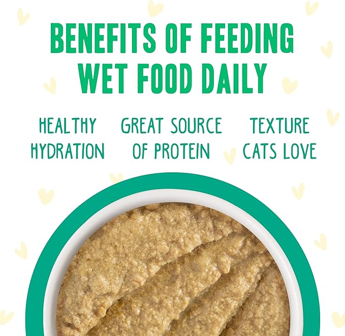 B.F.F. PLAY - Best Feline Friend Paté Lovers, Aw Yeah!, Chicken & Turkey Tiptoe with Chicken & Turkey, 3oz Pouch (Pack of 12)