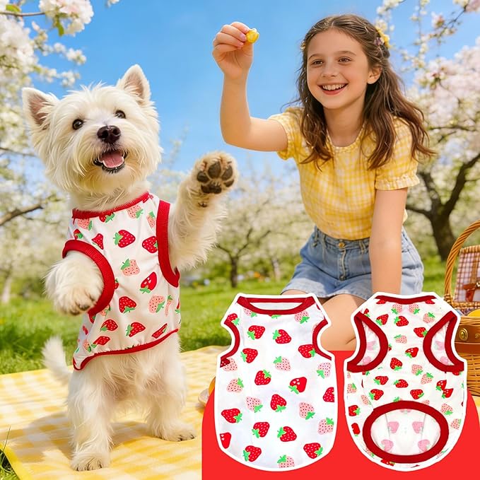 PETCARE Cartoon Dog Shirts for Small Dogs Cute Dog Clothes Red Strawberry Tshirt Soft Cotton Puppy Pajamas Breathable Sleeveless Pet Tank Top Spring Summer Dogs Clothes for Chihuahua Yorkie Shih Tzu