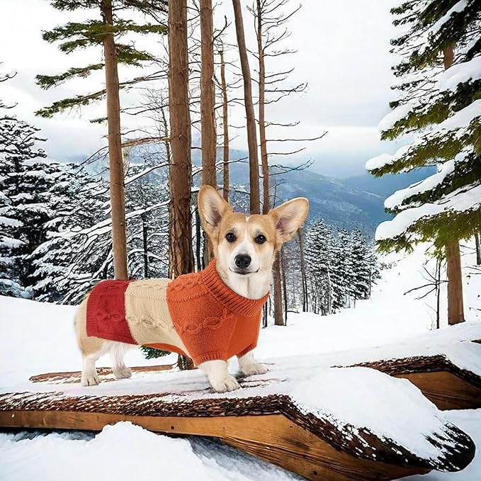 Dog Knitted Turtleneck Sweater - Dog Warm Pullover Color Block Cable Knitwear, Doggie Winter Clothes for Small Dogs Chihuahua, Bulldog (Orange, L)