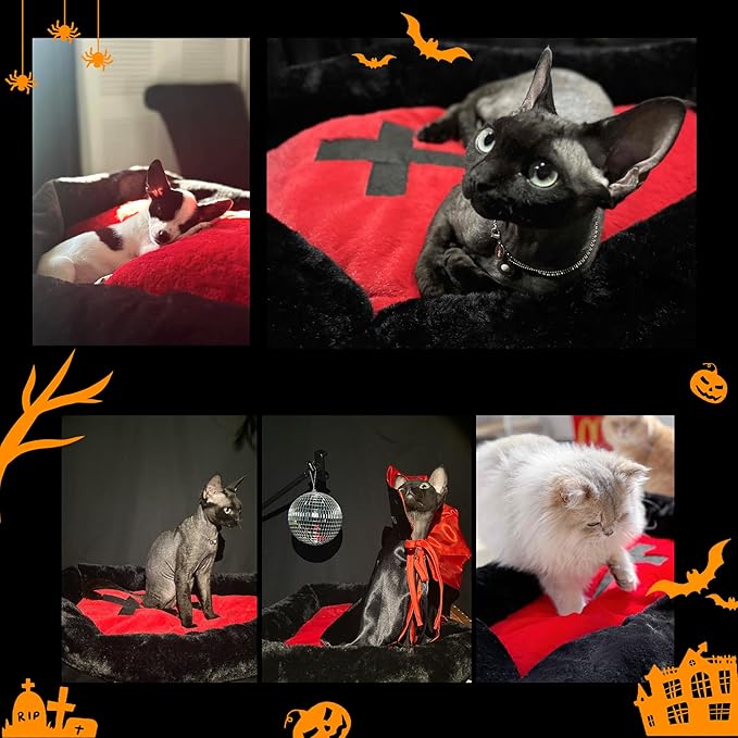 Gothic Cat Beds Fits up to 25 lbs, Washable Coffin Cat Bed, Goth Pet Bed, Halloween House 24 * 16.9 Inch, Red & Black Small (Black, Small)