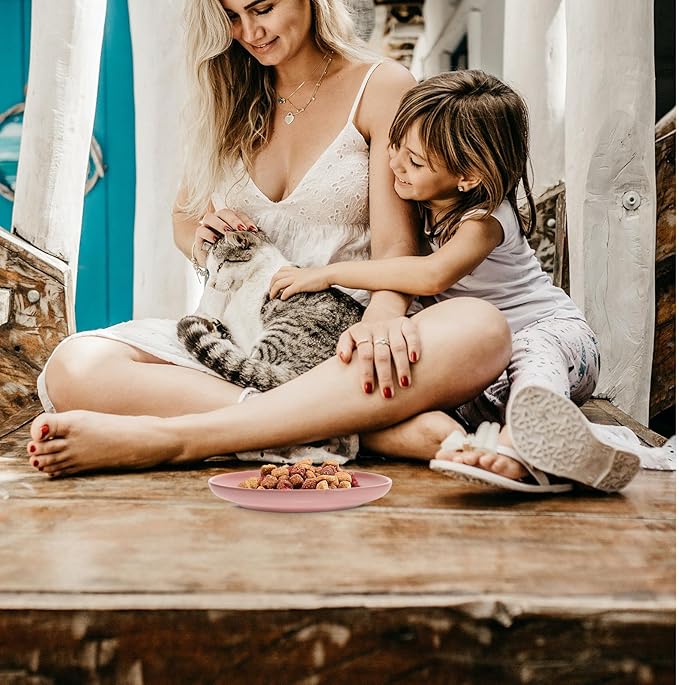 GANAZONO Ceramic Cat Bowl 6-inch Pink Reusable Pet Food Dish Cat Accessory for Indoor Feeding and Watering