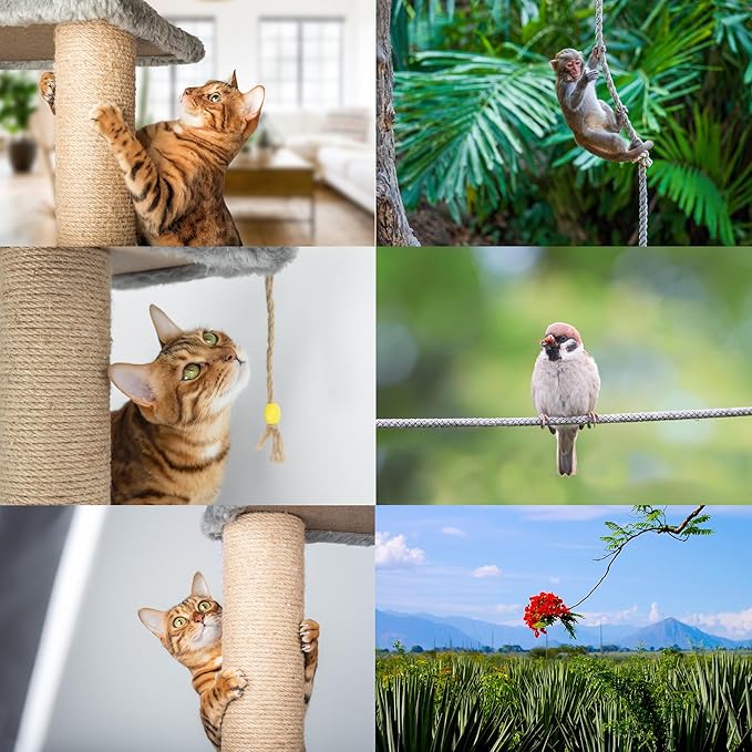 Premium Brazilian Sisal Rope, Natural Fiber 100% Sisal, Ultra Durable, Chemical-Free, Ideal for DIY, Cats, Scratching Post Replacement, Home Decor, Garden, Crafting (1/5” 100 ft / 5mm 30m)
