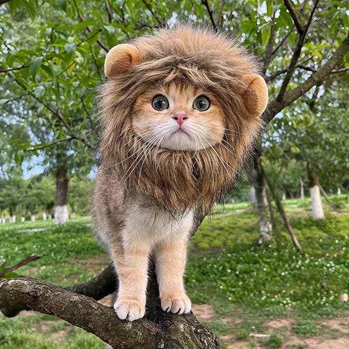 Qiansail Lion Mane Wig for Cats, Funny Bunny Ears Cute Dog Hats Cat Apparel Costume Pet Clothing Accessories for Halloween Cosplay Party