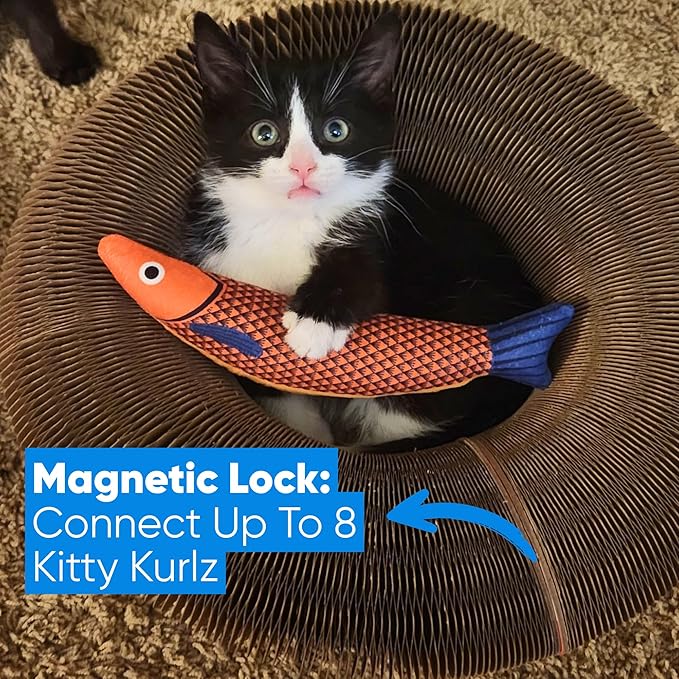 KITTY KURLZ Interactive Cat Toy & Cardboard Cat Scratcher, Collapsible Ball Track with Bell, Reversible Scratch Ring for Play, Chase and Lounge