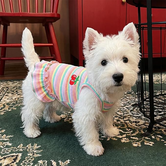 Jmkcoz Cute Striped Dog T Shirts Cherry Puppy Dress Soft Cotton Pet Sleeveless Vest Clothes Spring Summer Pet Outfits for Small Dogs Cats Girl (Pink, Large)