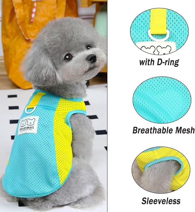 PAIDEFUL Breathable Mesh T-Shirt for Small Dogs Summer Doggie Cool Vest Soft Lightweight Puppy Tee Shirts Sleeveless Pet Tank Top Sweatshirts Cozy Chihuahua Clothes Cat Apparel D-Ring,Green,XL