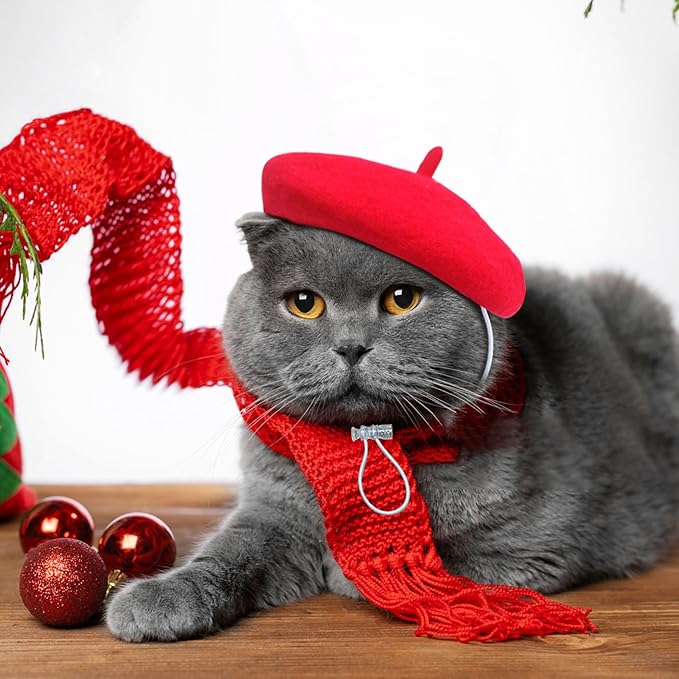 Dog Beret for Small Dogs Cat Doll, Colorful Wool Mini Cap Creative Accessories Costume French Mushroom Artist Fedora Hat Beanies Solid Color Pet Headwear Christmas Hair Accessory Photo Props (Red)