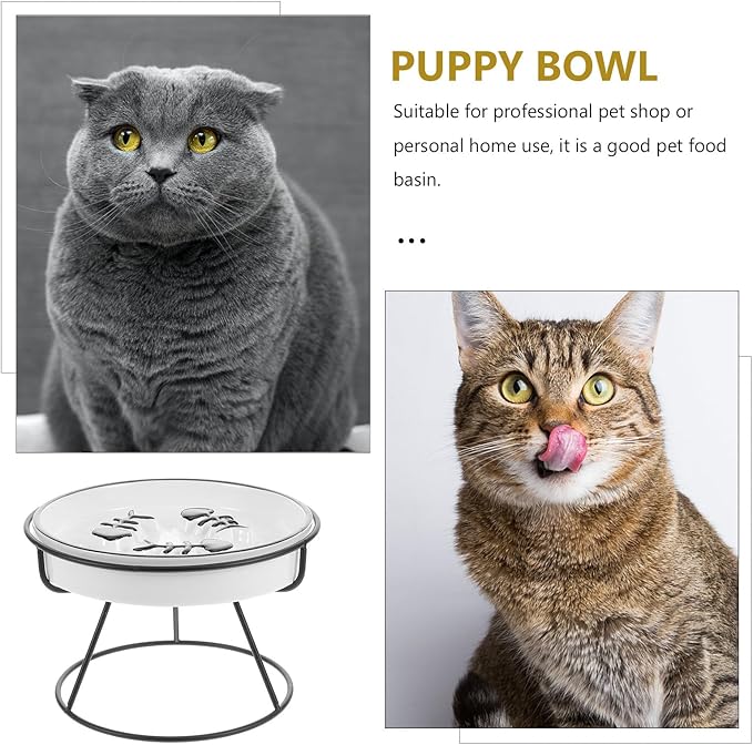 TEHAUX Ceramic Raised Slow Feed Cat and Dog Bowl with Stand, Whisker-Friendly Elevated Pet Feeder for Indoor Cats and Puppies, Black Slow Eating Dish