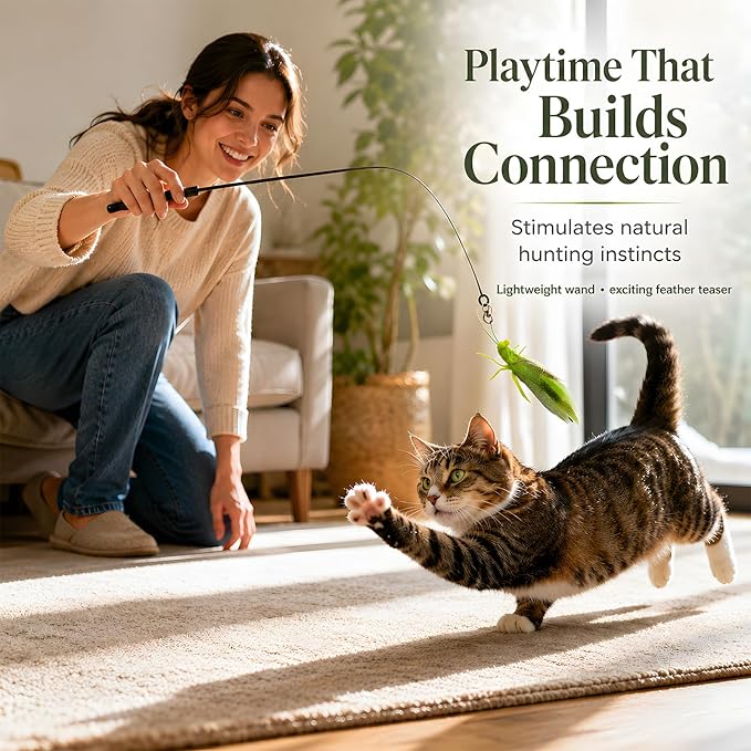 Cat Teaser Wand with 3 Grasshopper Tops, 16.5” Interactive Cat Fishing Pole Toy, Bug on String Toy for Indoor Kittens, Fun Exercise & Play