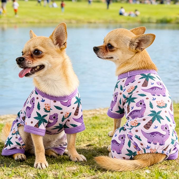 Dog Summer Pajamas Onesie Soft Breathable Puppy Jumpsuit Lightweight Dog Clothes for Small Medium Dogs Cat Pet Clothes(Purple Dinasour, Small)