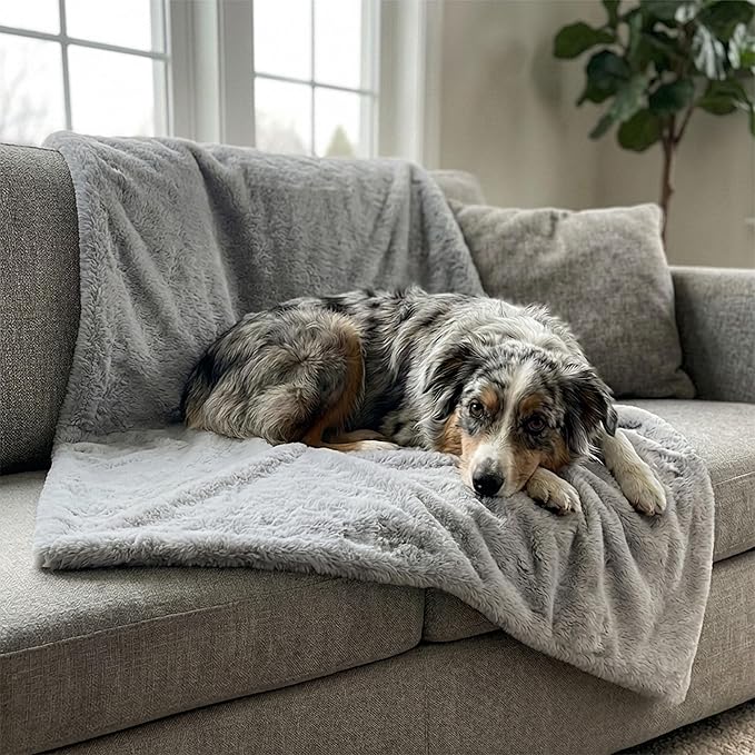 4 Cats & Dogs Pet Faux Fur Throw Blanket – Ultra Soft, Waterproof, Leakproof, Washable, Large (50"x60") Plush Pet Blanket for Couch, Bed, Sofa Protection – Luxurious, Cozy & Durable - Grey