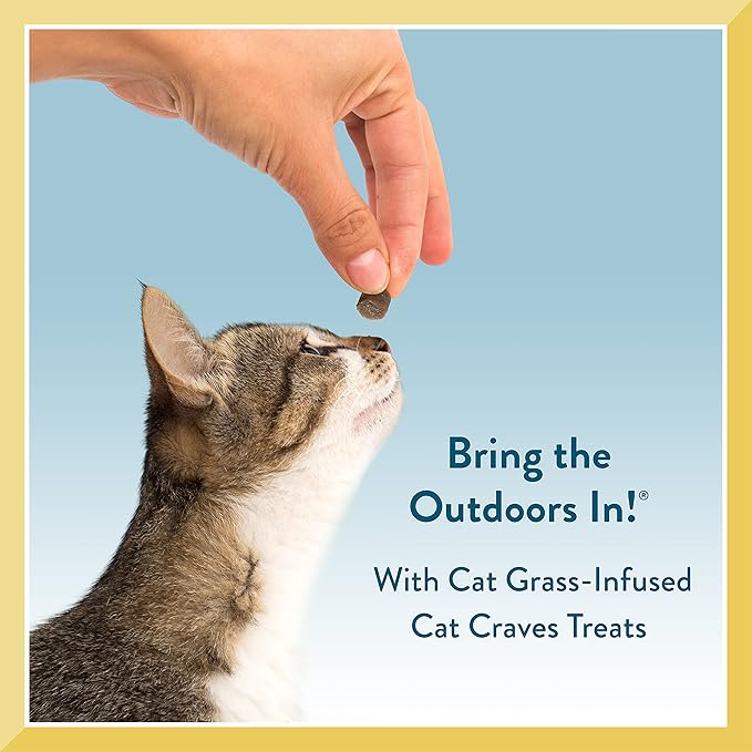 Pet Greens Soft-Chew Indoor Cat Treats Infused with Cat Grass - 3 Pack Salmon 3oz per Pack