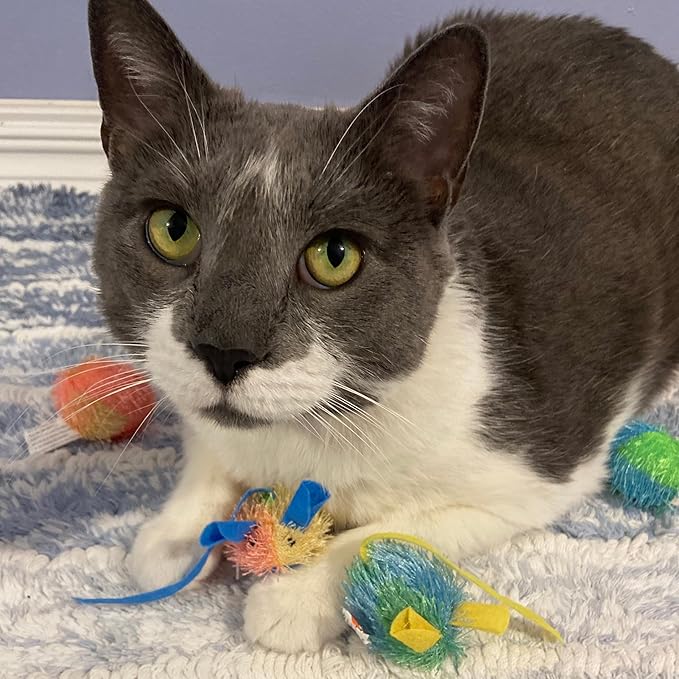 SPOT Stringy Mice & Balls - Catnip Cat Toys, Interactive, Colorful Plush Toys, Fun for Cats and Kittens to Bat and Chase, Boredom Buster - 2 Mice, 2 Balls