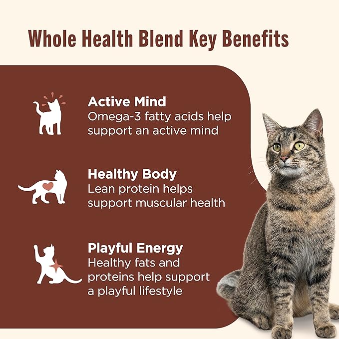 Nutrish Grain Free Wet Cat Food Chicken & Shrimp Pawttenesca Whole Health Blend with Real Shredded Chicken & Whole Shrimp in Sauce, 2.8 oz. Cup, Pack of 12 (Rachael Ray)