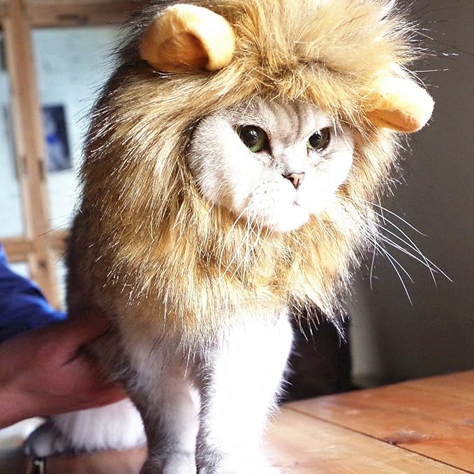Idepet Realistic Funny Mane for Dogs & Cats - Lion & Cat Costumes, Halloween Hat for Dogs & Cats