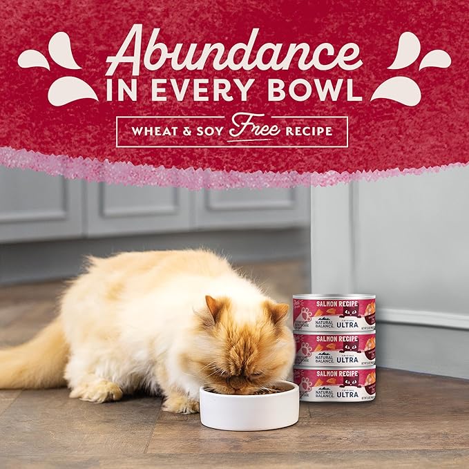 Natural Balance Original Ultra Adult Wet Canned Cat Food, Salmon Recipe, 5.5 Ounce (Pack of 24)