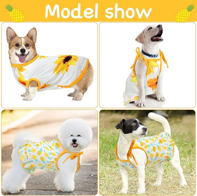 Frienda 4 Pieces Dog Clothes Set Include 2 Pcs Cute Pet Dress Lovely Dog Dress and 2 Pcs Breathable Pet T Shirt Puppy Clothes(Pineapple, Sunflower,Medium)
