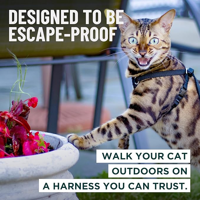 Houdini™ Escape Proof Kitten Harness and Leash Set by OutdoorBengal – Red, Small Cat Harness for Walking