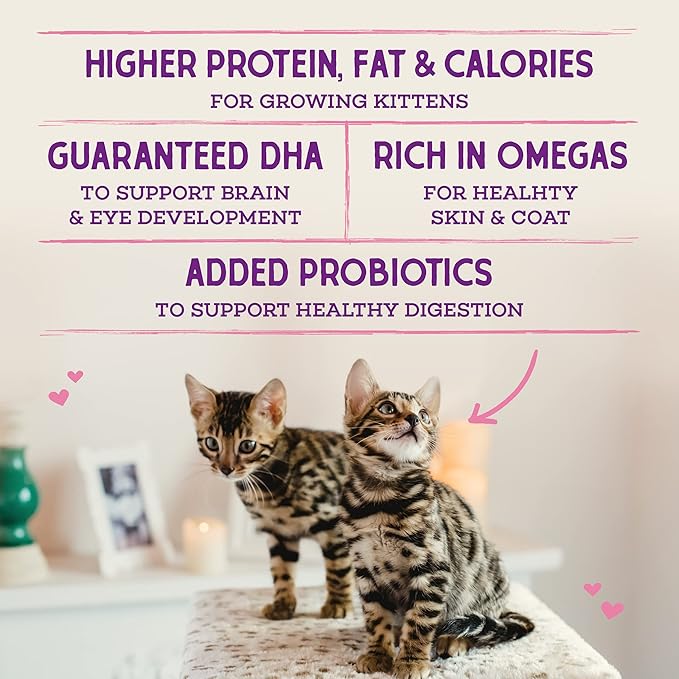 Stella & Chewy's Raw Coated Premium Kibble Cat & Kitten Food – Grain Free, Protein Rich Meals – Cage-Free Chicken for Kittens Recipe – 5 lb. Bag