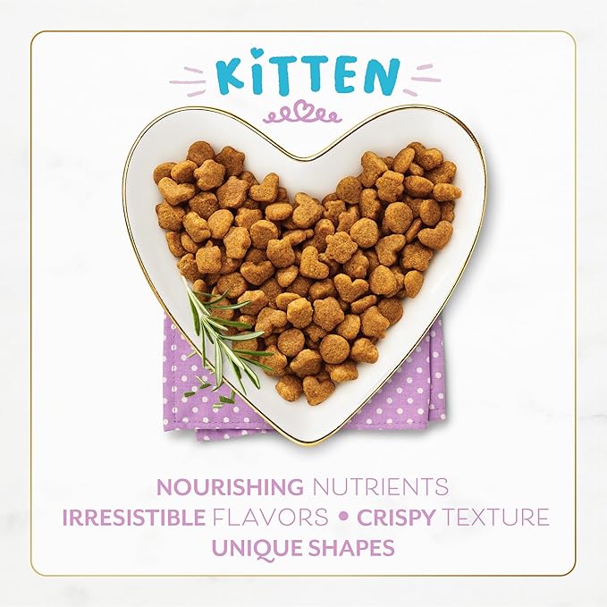 Purina Fancy Feast Kitten With Savory Chicken and Turkey Kitten Dry Food - 3 lb. Bag