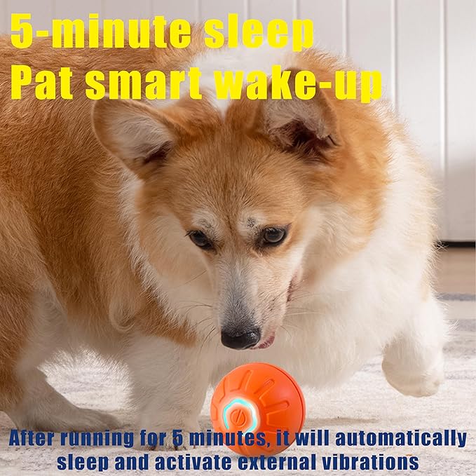 Self-Moving Dog Toy Ball – Auto Roll & Motion-Activated Play | Chew-Resistant | USB Rechargeable | for Puppies to Medium Dogs (Orange,2in Small)