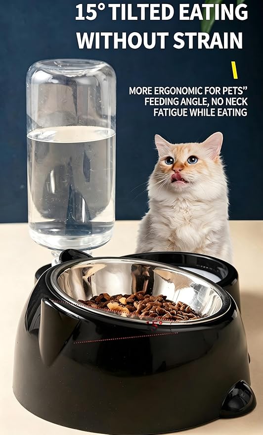 Generic Tilted Stainless Steel Dog Bowls, 2 in 1 Cat Water and Food Bowl, Automatic Refill Feeding Waterer Cat Bowls for Indoor Cats (Black)