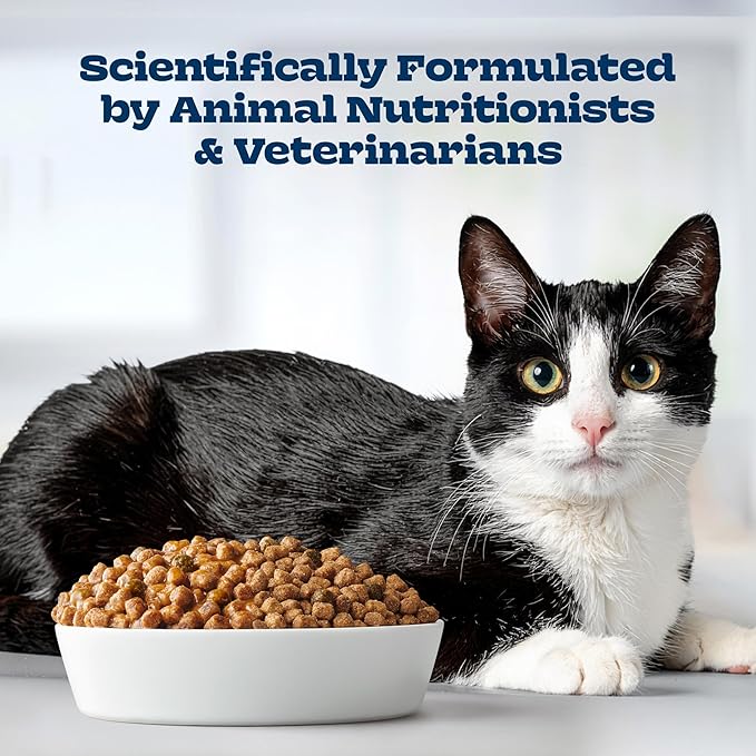 Blue Buffalo Tastefuls Irresistible Gravy Experience Chicken & Brown Rice Recipe Adult Cat 7+, Soft Dry Indoor Cat Food, Deliciously Healthy Natural Cat Food, Supports Digestion & Coat Health, 7 lbs.